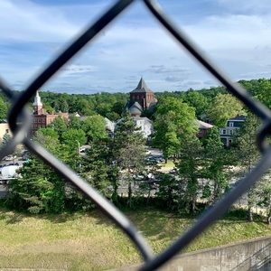 Meet your Posher, Ophelia